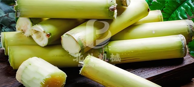 在九游官方网站怎么用的高温作用下甘蔗